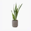 product image 6 optimized